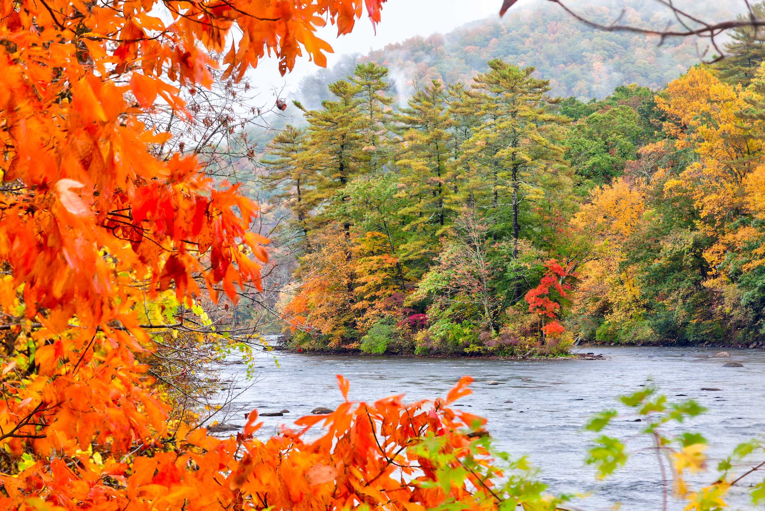 Housatonic River in the Fall - purchased.jpg